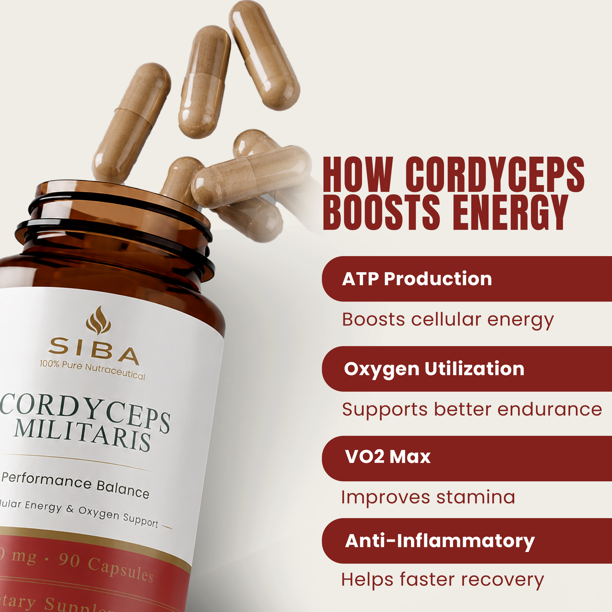 SIBA Cordyceps Militaris supplement bottle with capsules and energy benefits text on a white background
