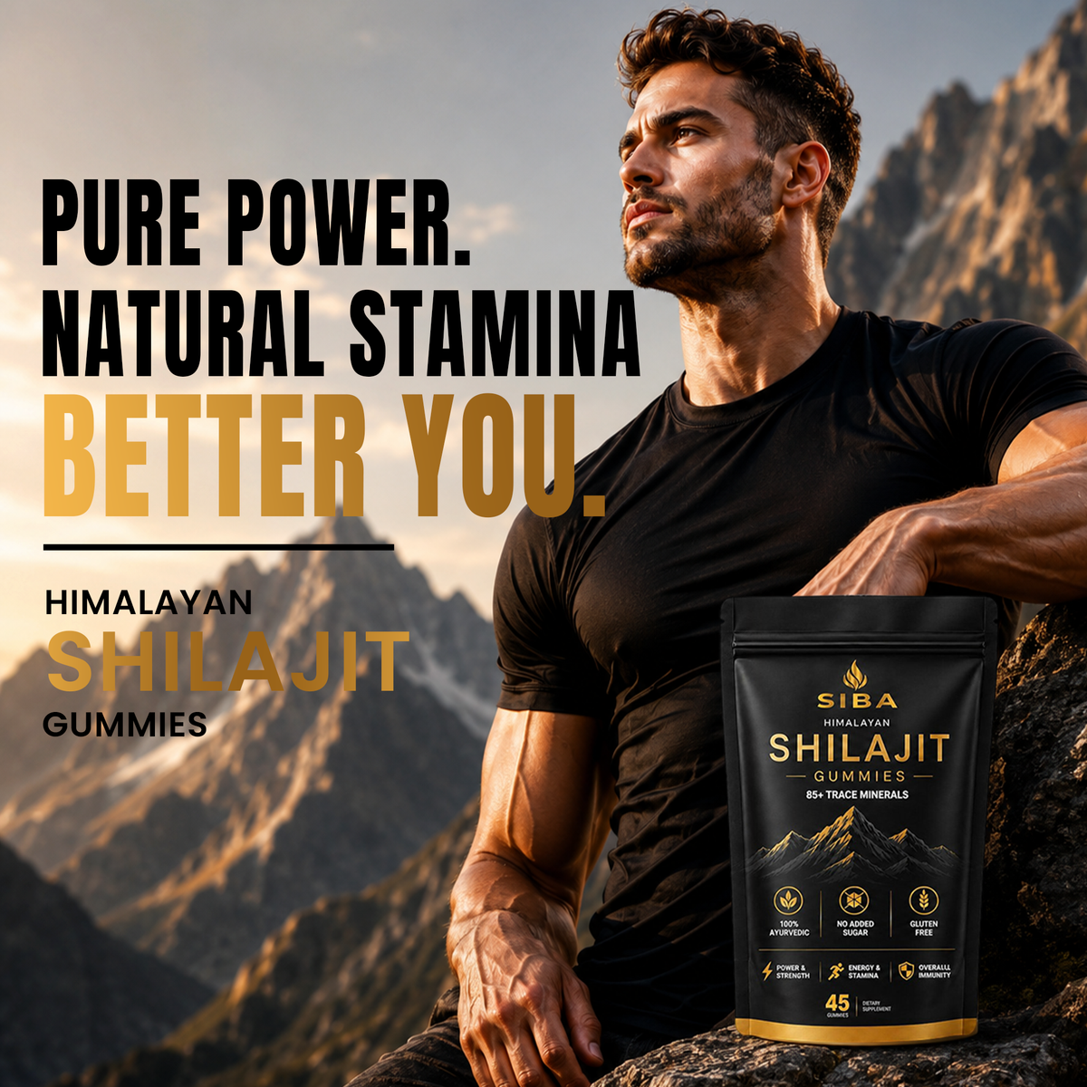 SIBA Himalayan Shilajit Gummies product information image 4