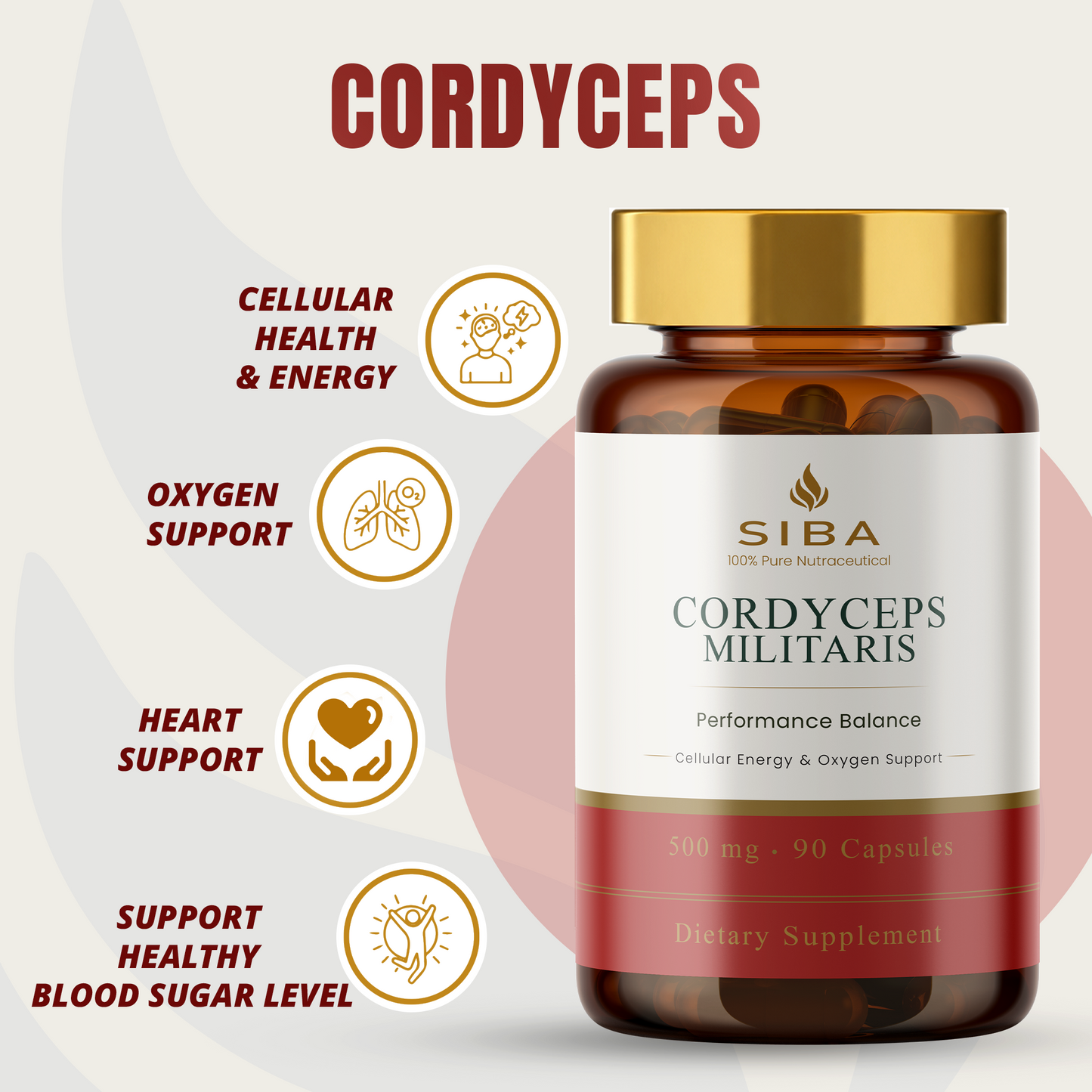 SIBA Cordyceps Militaris supplement bottle with health benefits on a light background