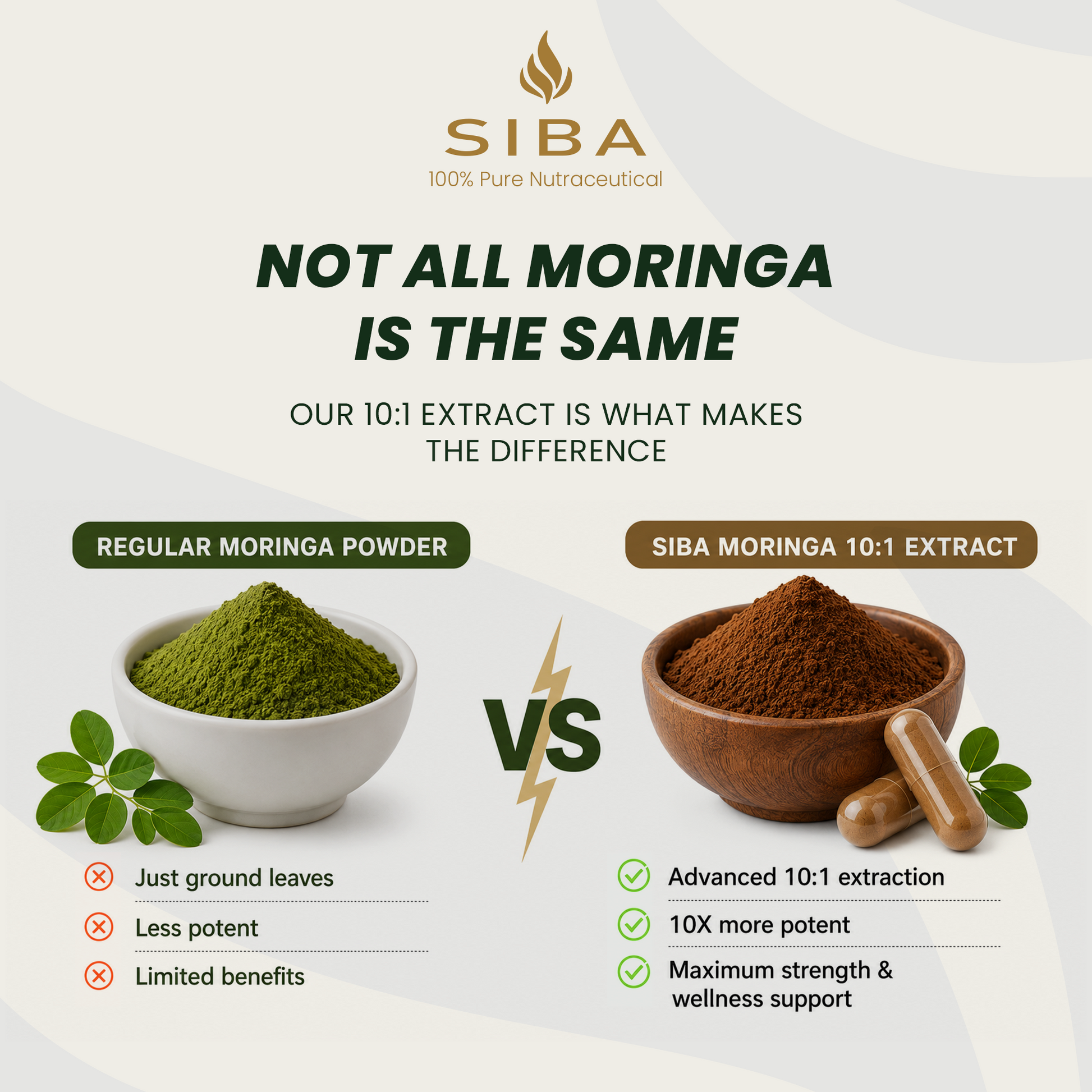 Comparison between regular Moringa powder and SIBA Moringa 10:1 extract on a white background.