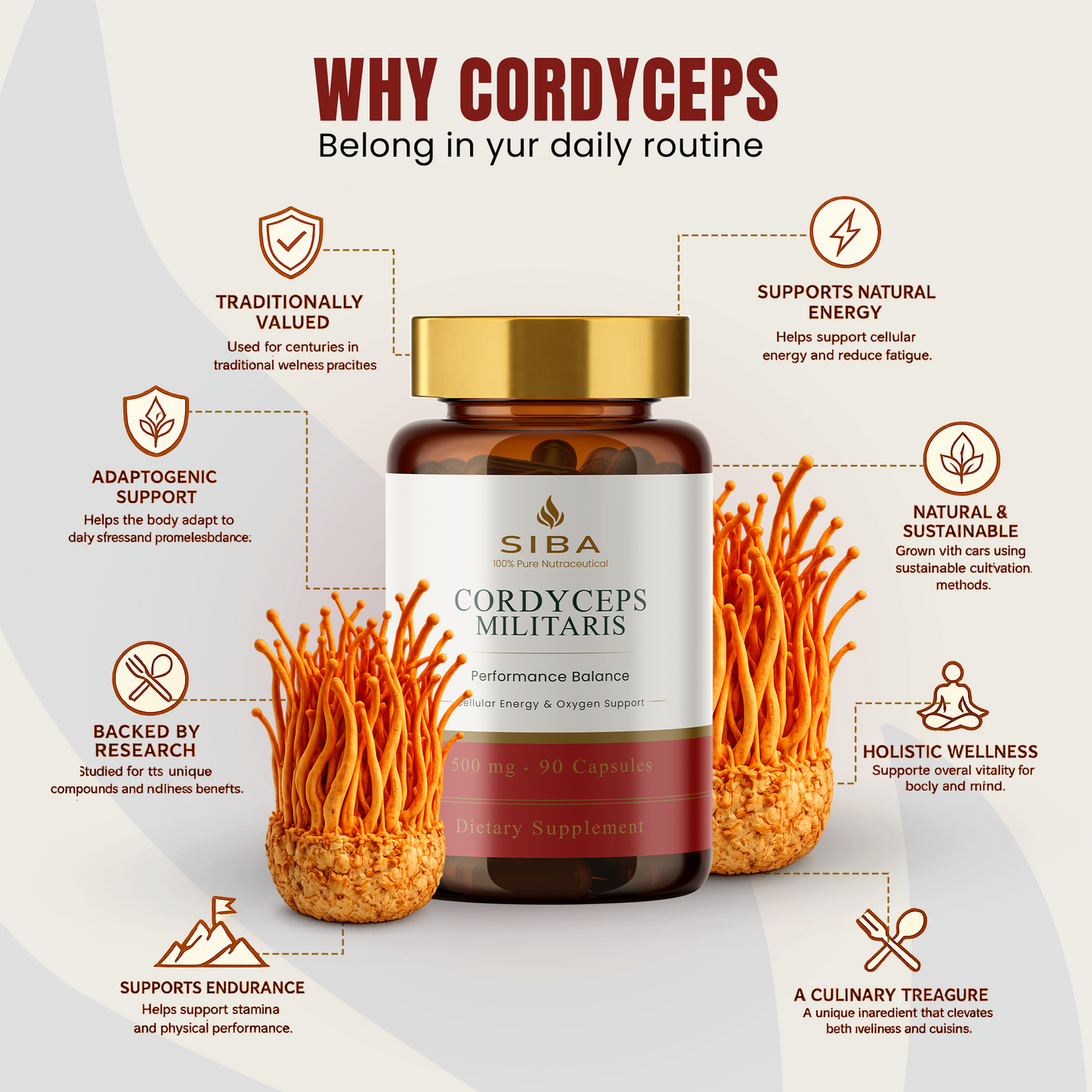 Siba Cordyceps Militaris supplement bottle with text highlighting benefits on a white background