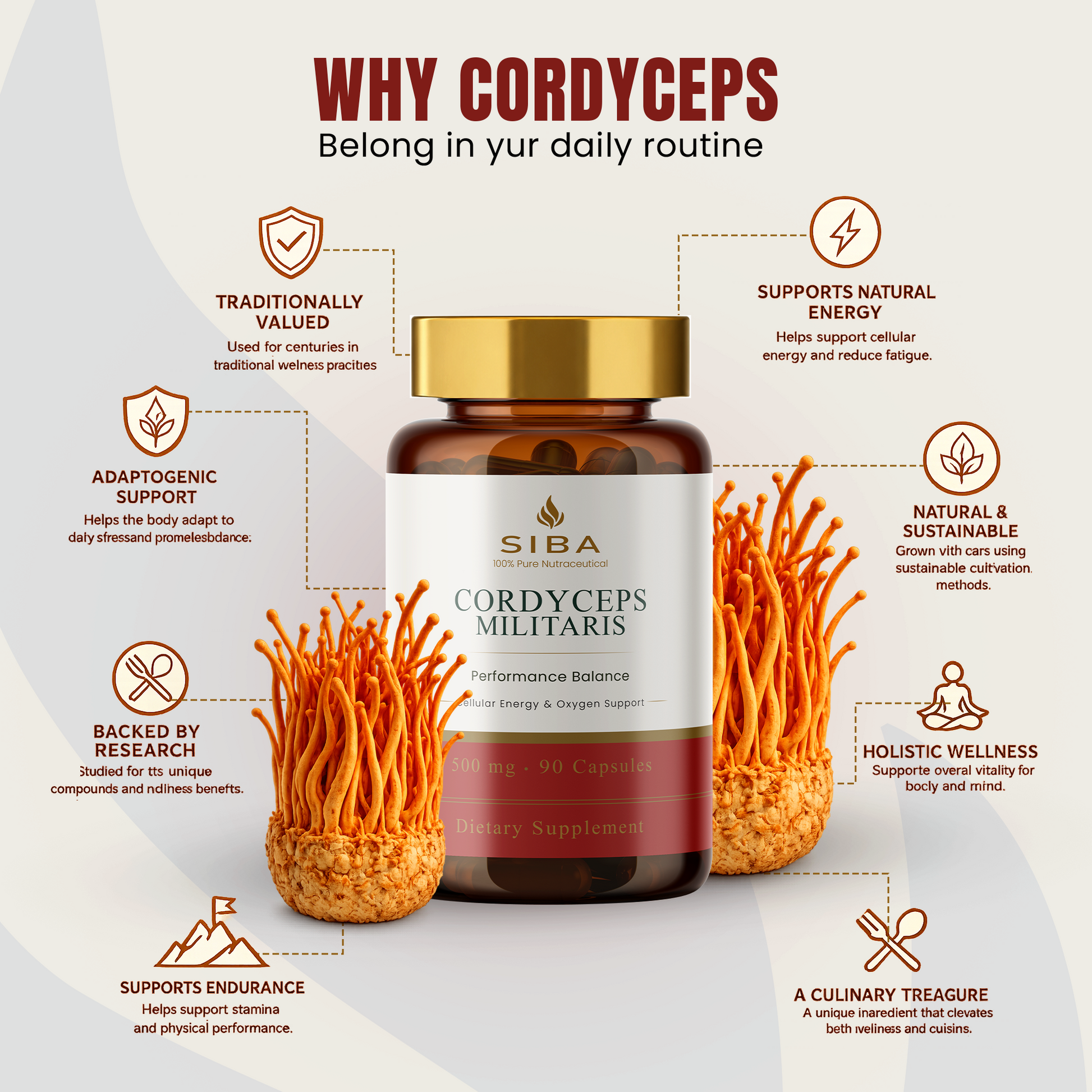 Siba Cordyceps Militaris supplement bottle with text highlighting benefits on a white background